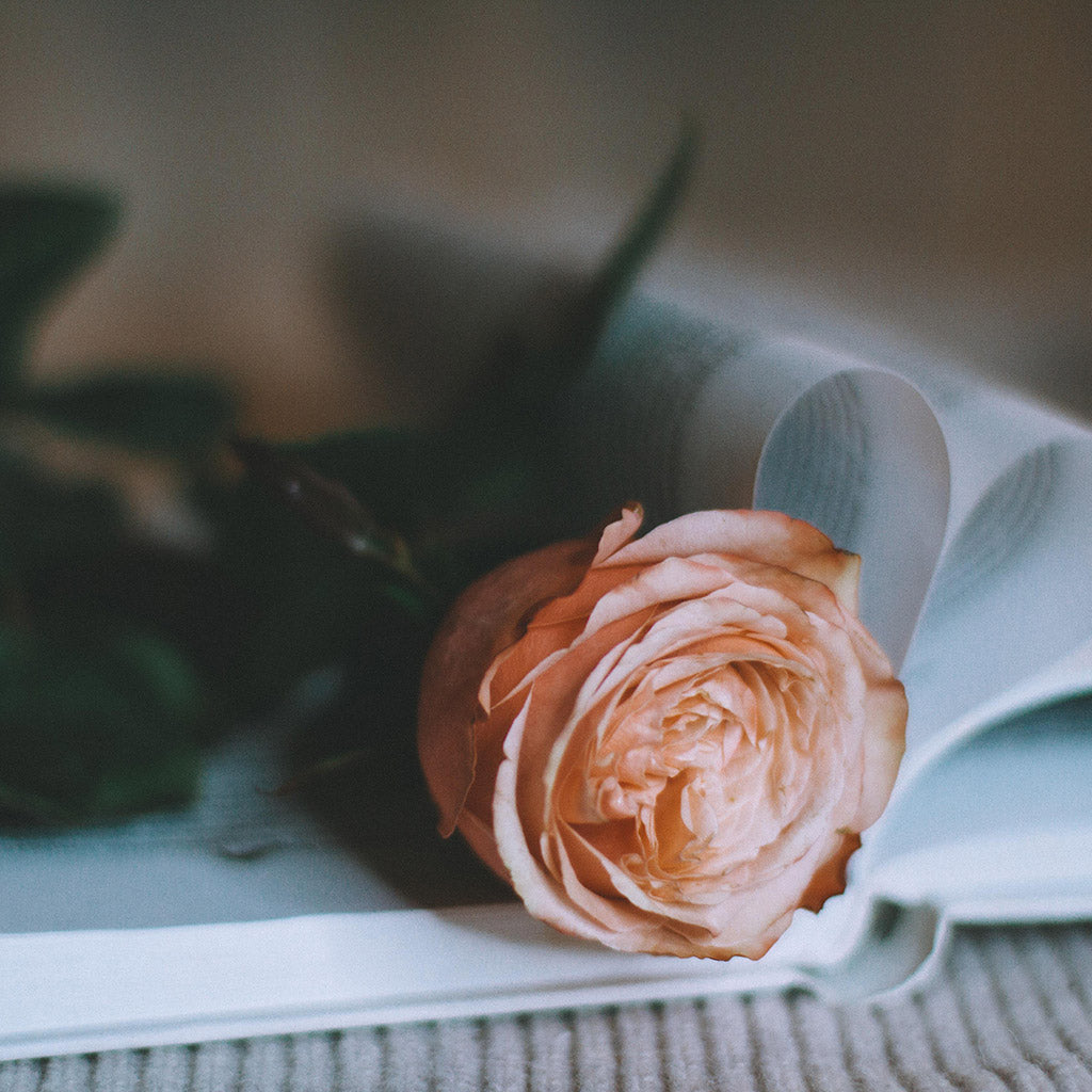 10 Things We Love: The V-Day Edit