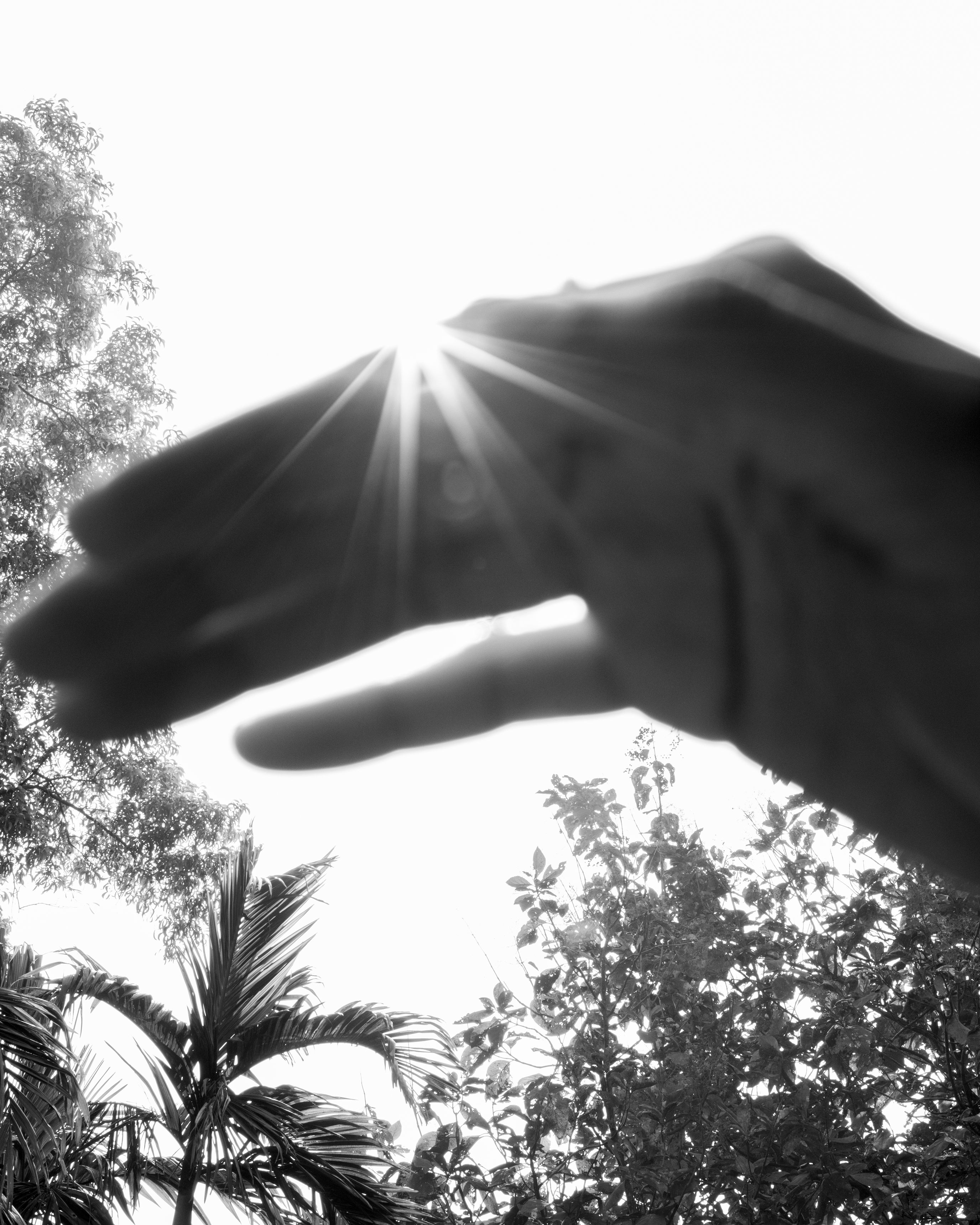 In Search of Sunshine