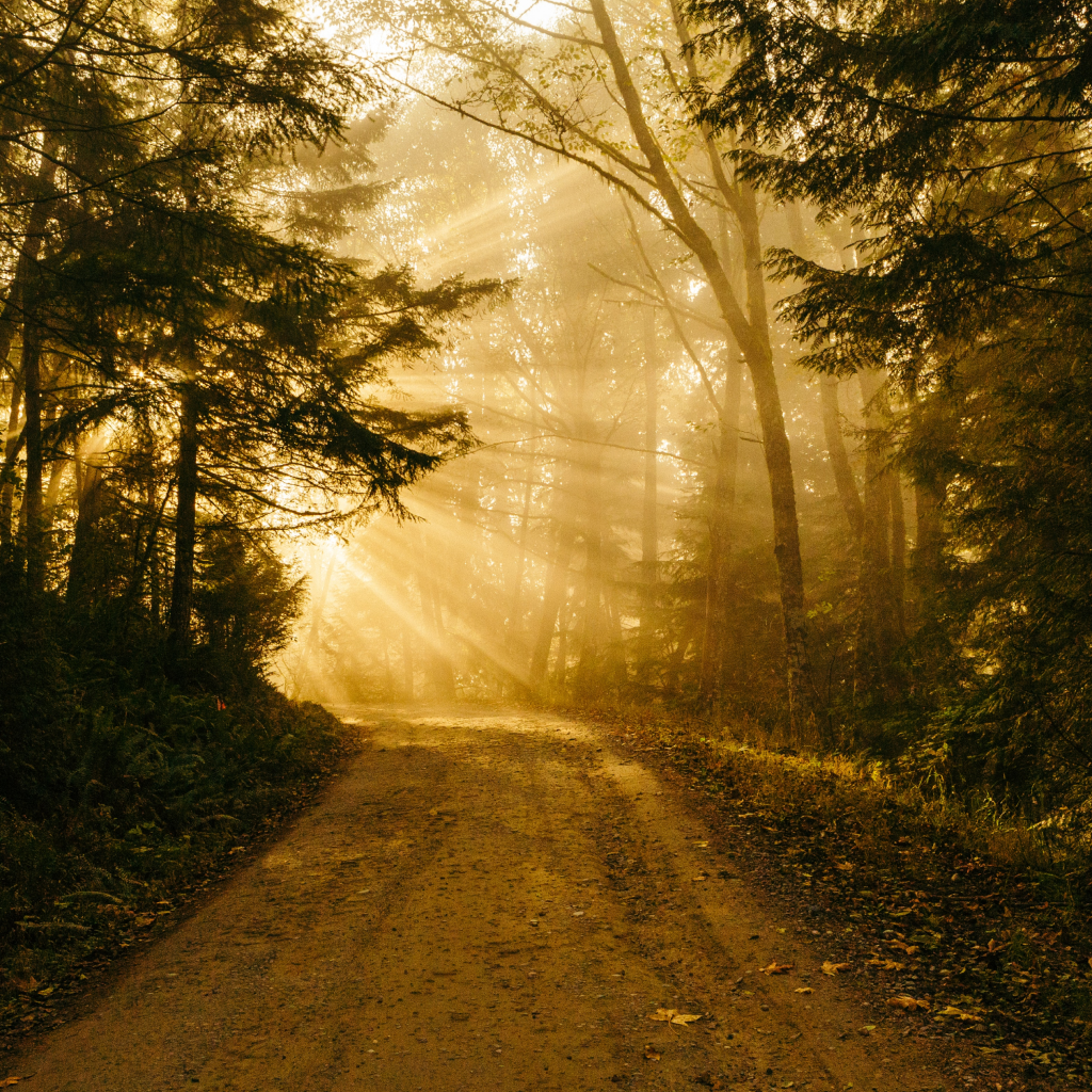 Your Green Guide To Travel This Summer