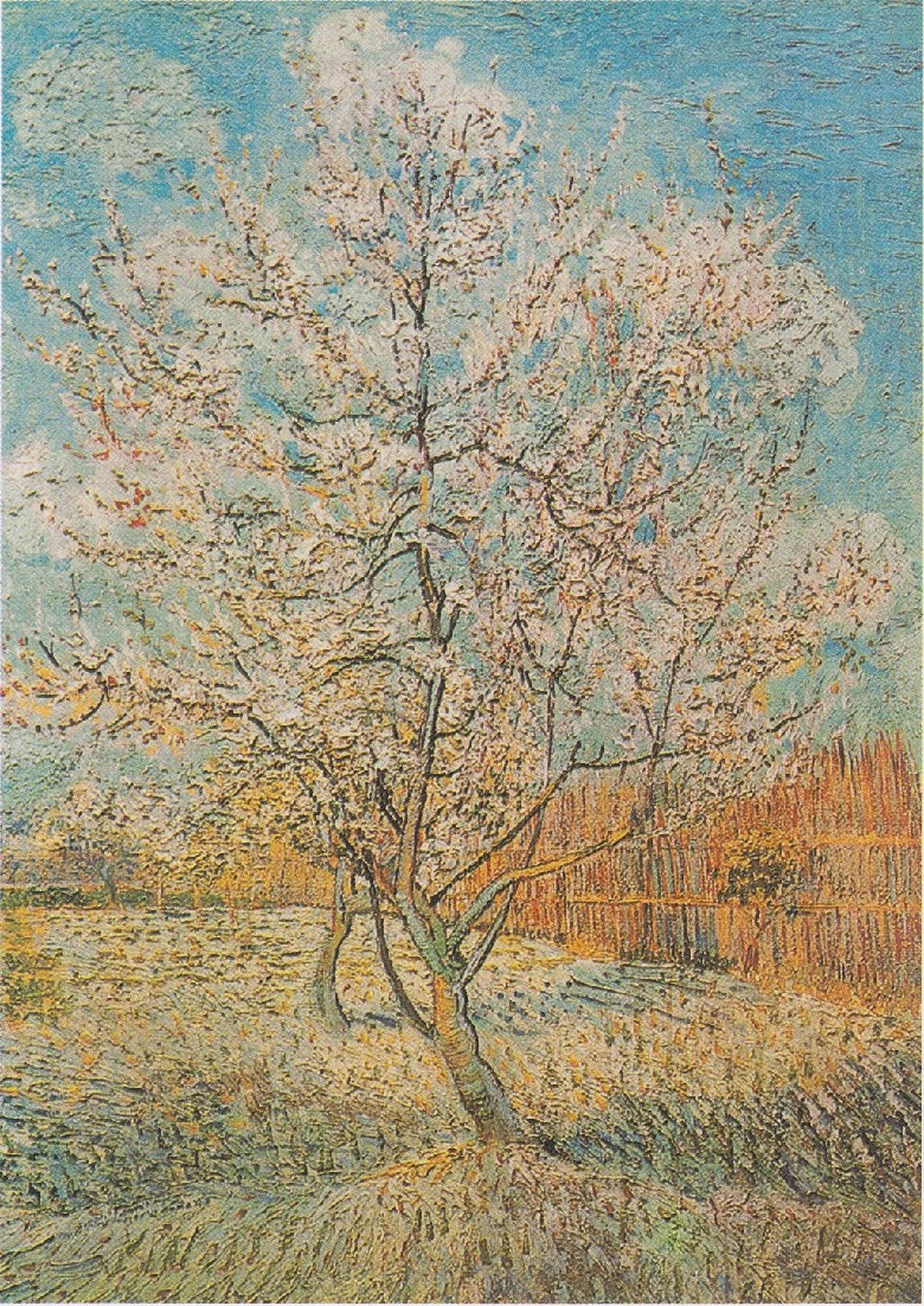 An Ode to Spring
