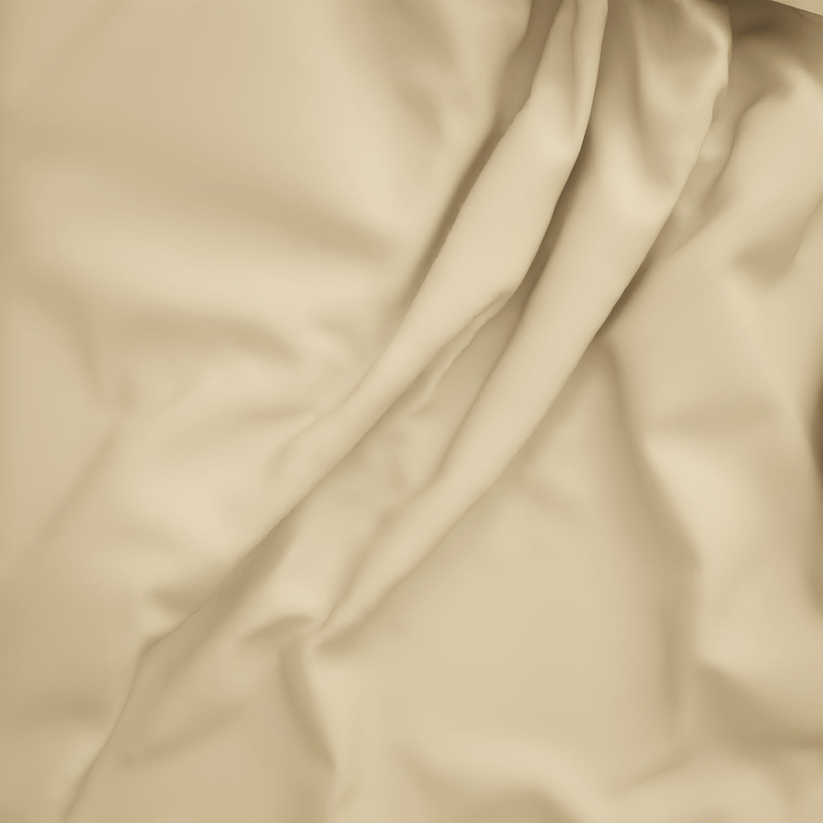 The Gold Collection | King Bedsheet Set | 300 TC Cotton | Light Sand