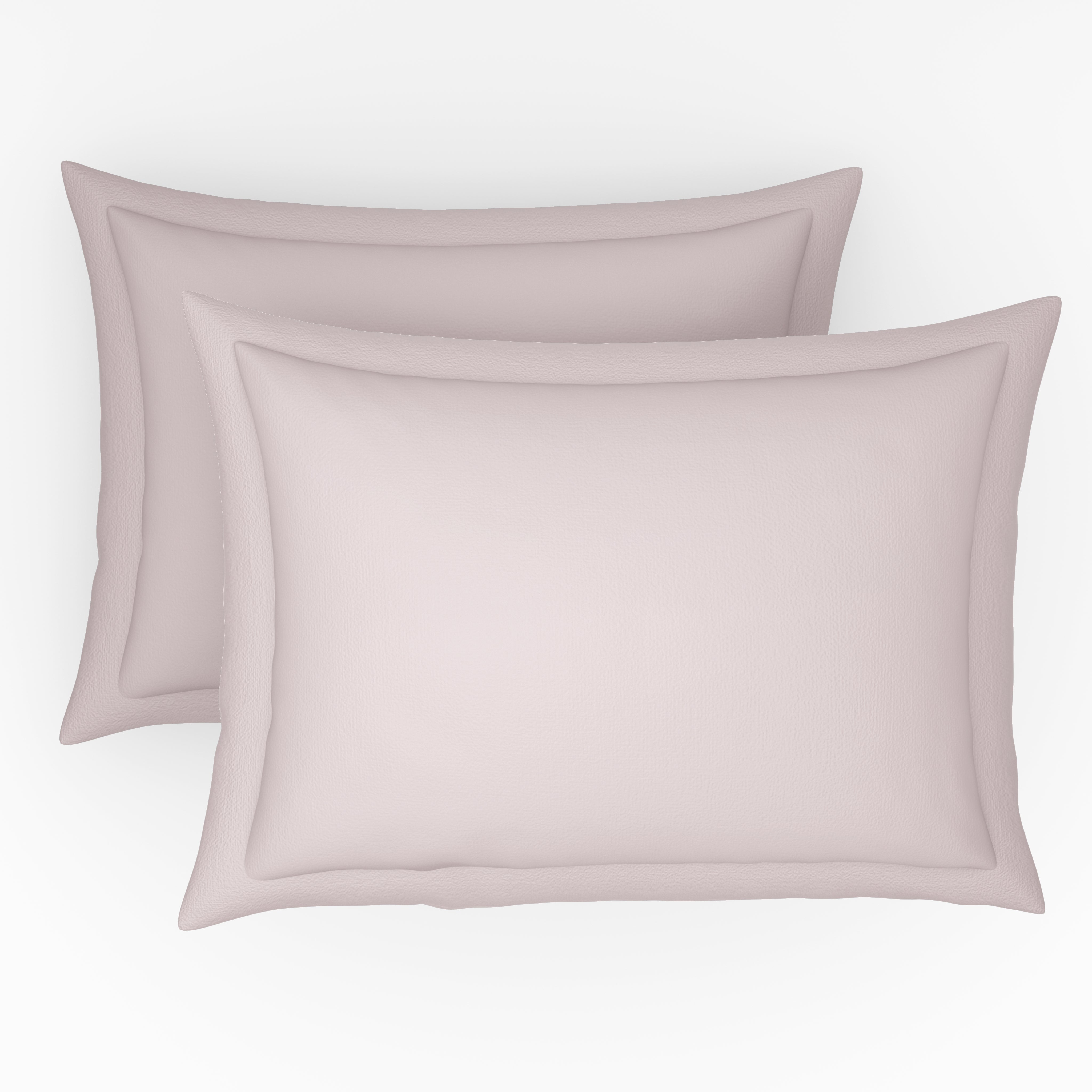 Exclusive Collection, Color Corner  | Printed Double Bedsheet Set | 152 TC Cotton - Cherry Blossom Pink by Himeya