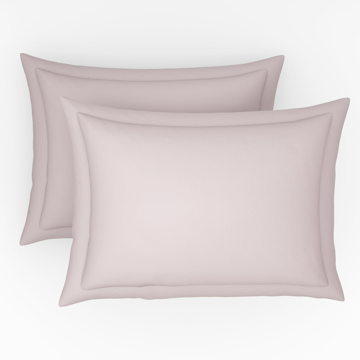 The Exclusive Collection | Printed Double Bedsheet Set | 152 TC Cotton | Cherry Blossom Pink